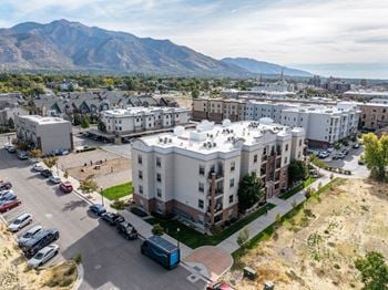 Bird's eye view of community